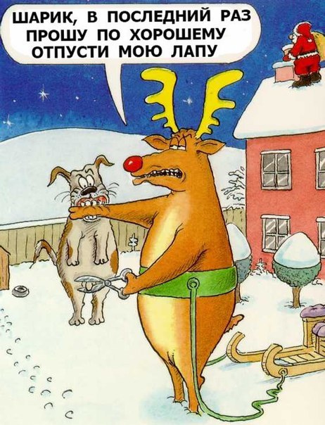 Разные картинки