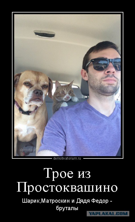 Этот ВЗГЛЯД!