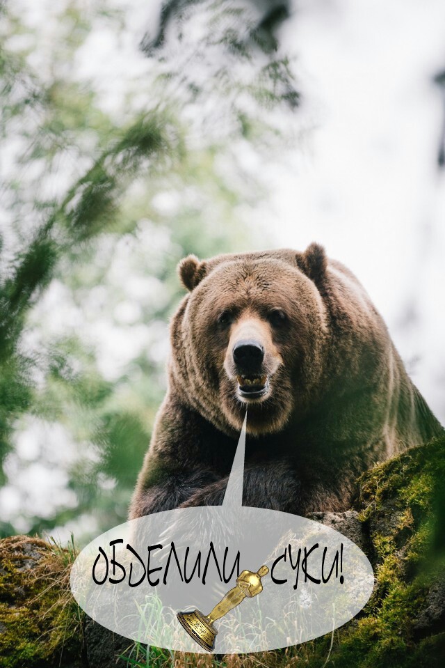 Небольшой микс картинок и гифок