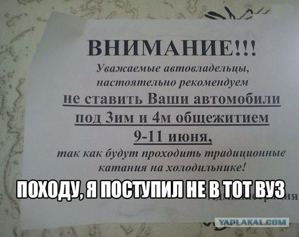 Всячина. Картинки