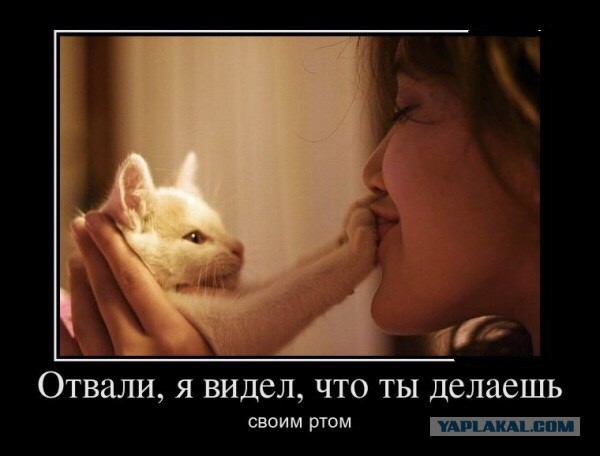 Смешные и не очень жипэги..