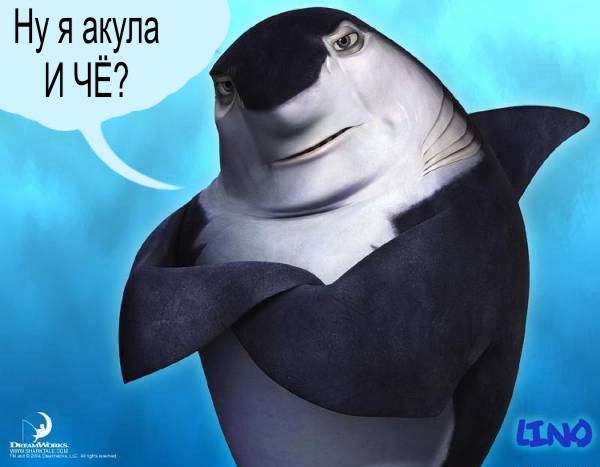 А вы акул тут не видели?