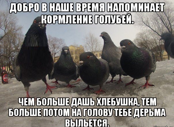 Немного веселых картинок из этих наших интернетов