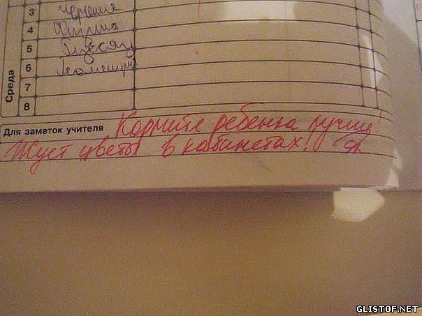 Записи в школьных дневниках и тетрадях