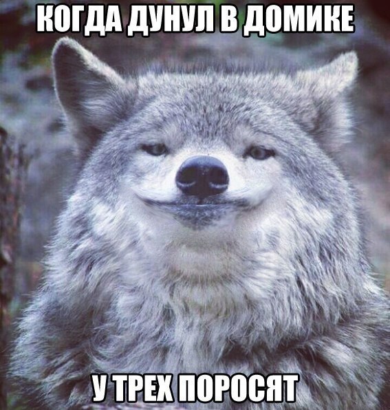 Плоский штопор деградации