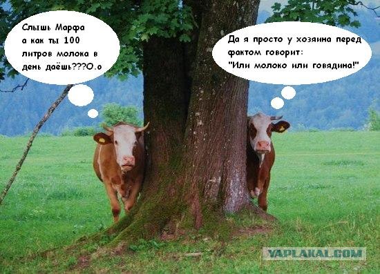 Как ты думаешь, измена скора отпустит?