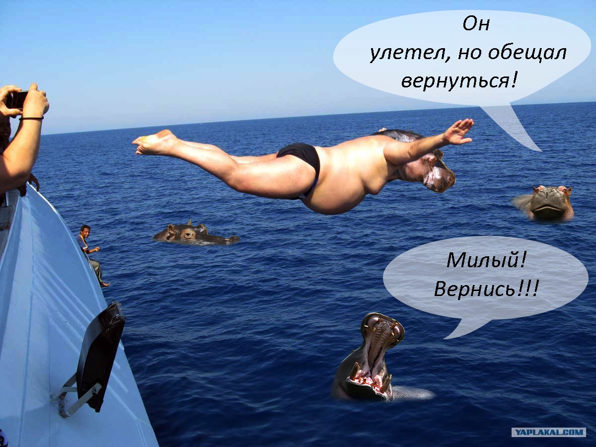 Он Улетел Но Обещал Вернуться Картинки