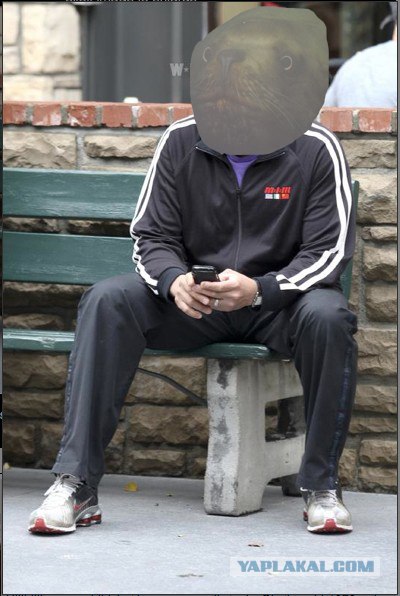 Фотожаба: Ну что же ты, Морфеус?!