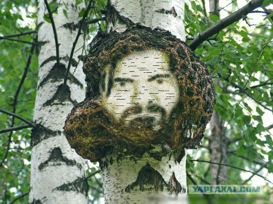 Фотожаба: Да грибам!