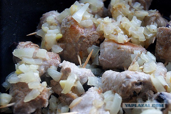 International одной книги., В память о Дженибеке.