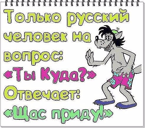 Давайте просто подеградируем над БАЯНАМИ