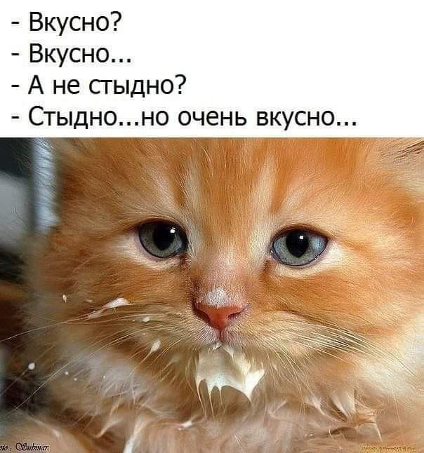 Простим?
