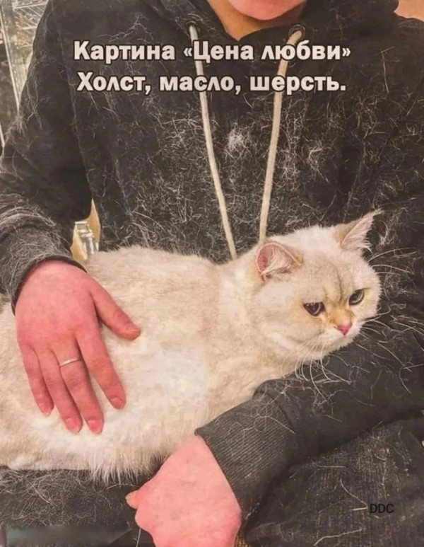 Немного картинок для настроения - 105