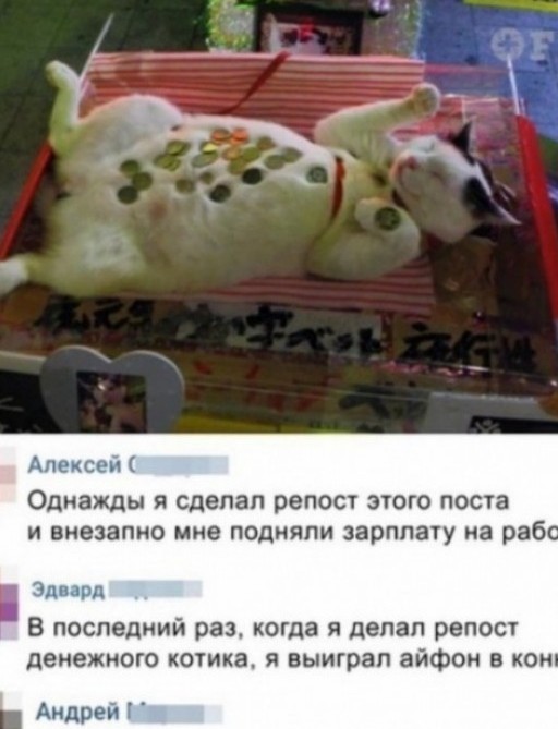 Скриншоты и комментарии из социальных сетей 10.12.22