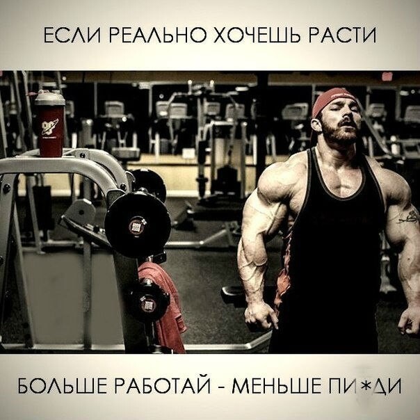 "Кто ты, тварь", сборник мемов про качков