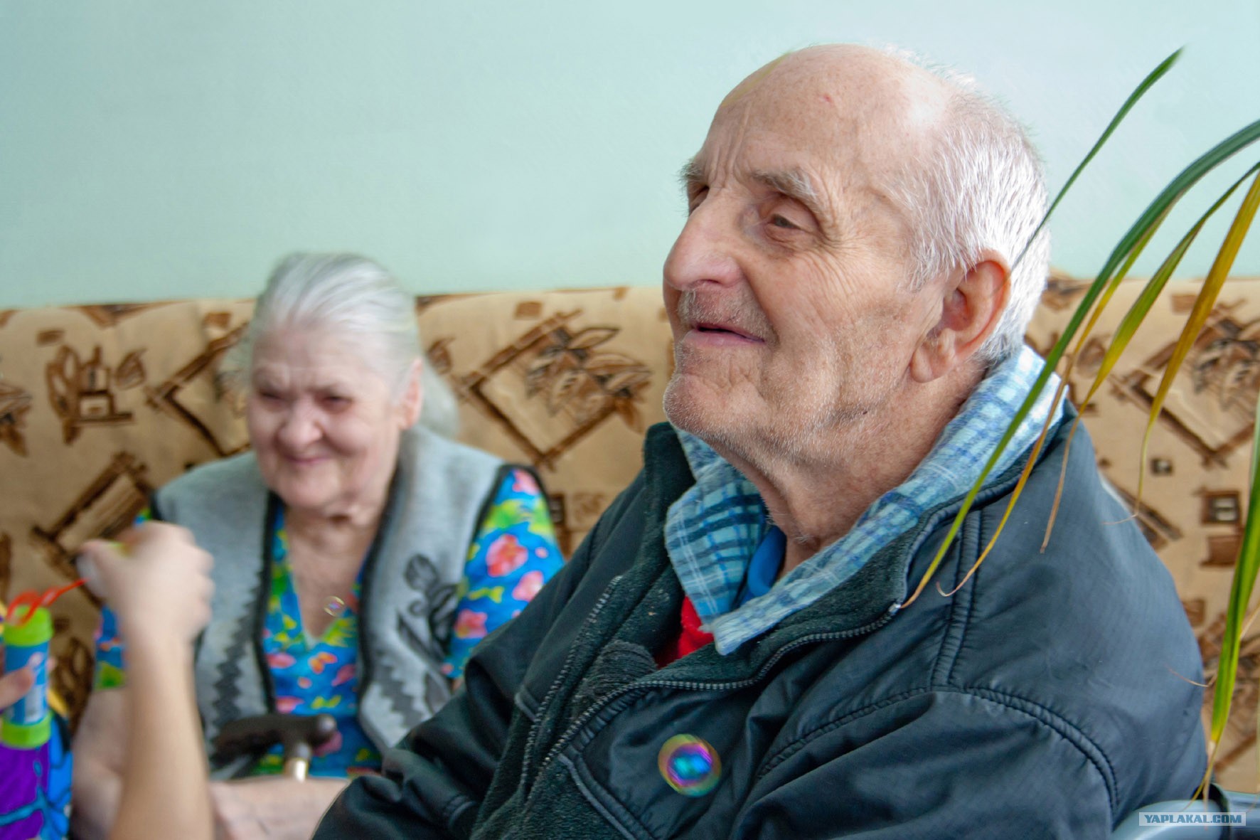 Сколько живут дедушки. Долгожители России. Долгожители 90 лет. Известные люди долгожители в России.