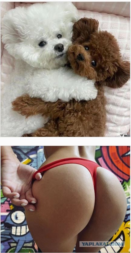 Разное