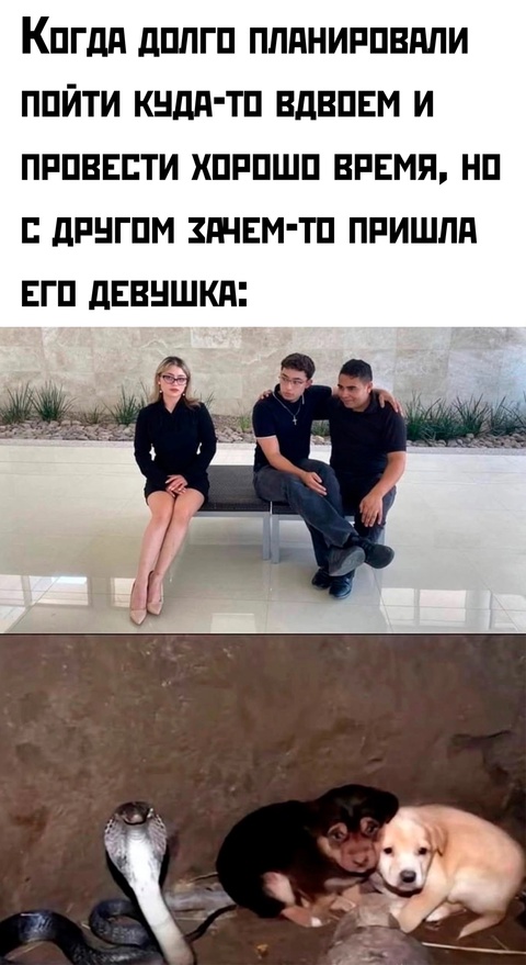 Весёлый полтишок 31.12.24