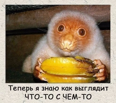 Нуштош 29.01.2025. Наблюдая за наблюдателями (s3e4)