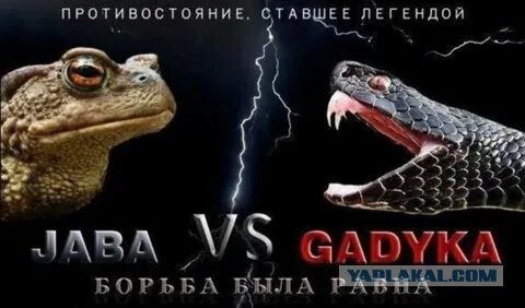 На девушку напала другая мадам, из-за того, что она слишком долго мерила свои вещи на ВБ