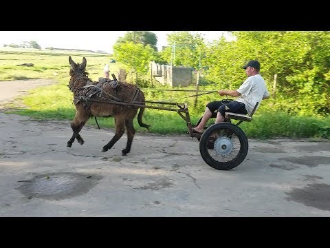 С 1 мая автомобили в России резко взлетят в цене на 25% из-за ужесточения правил расчёта утильсбора