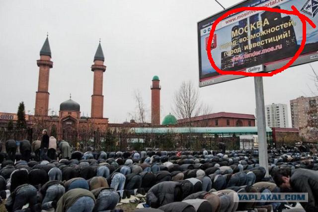 Новый закон