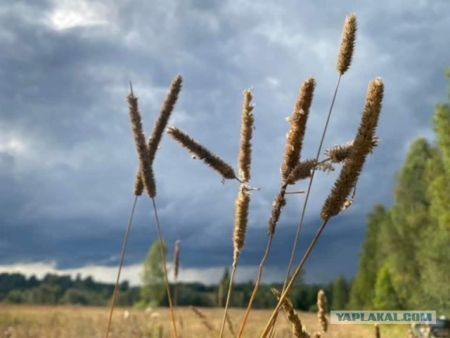 Мы на нем разговариваем
