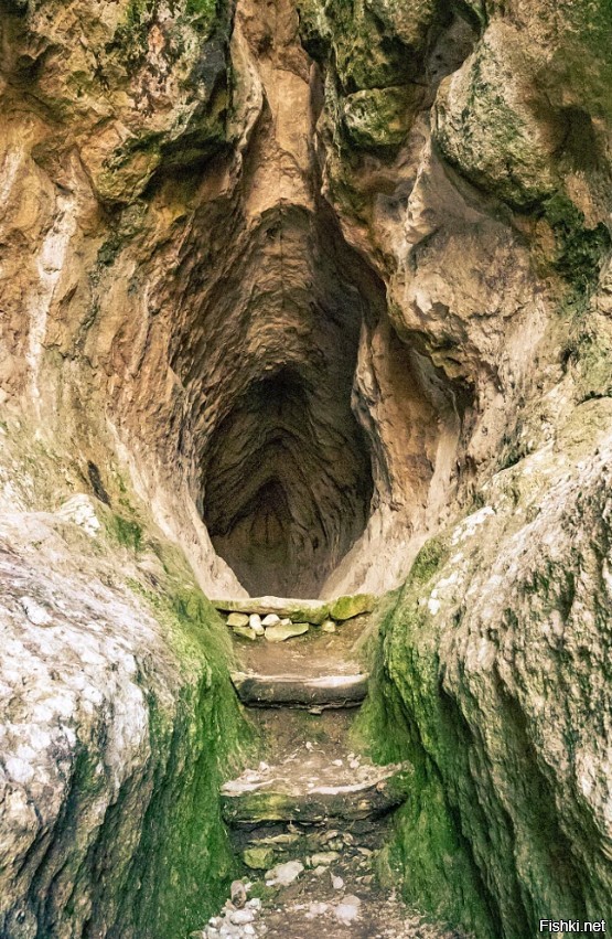 Красная шапочка