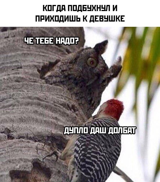 Картинки для улыбки