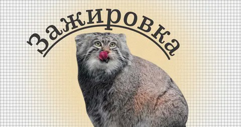 С ним лучше не играть