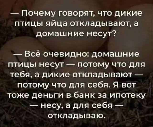 Веселые картинки в маленькую пятницу (21.10)