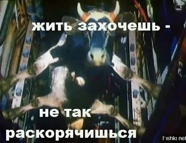 Тем временем Ксения Собчак решила покрасоваться своей физической формой в сторис