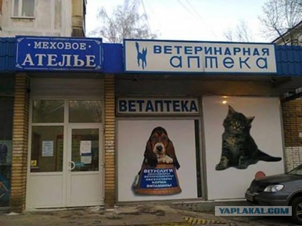 Картинки, объявления - 2