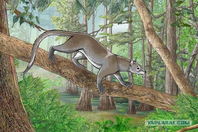 Удивительные открытия в палеонтологии