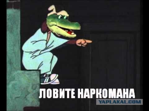 Милиция нравов