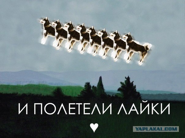 Поставь сердечко на "аву"...