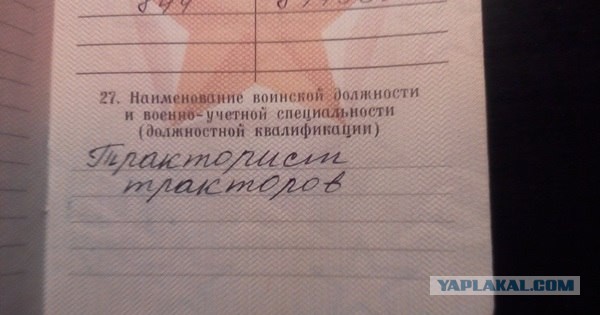 Картинки из сети