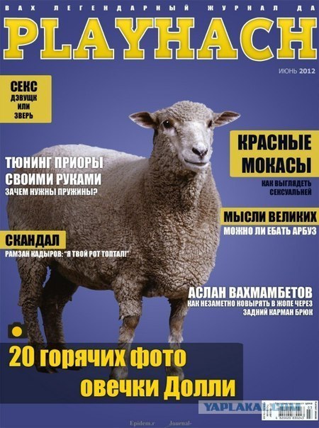 В красных макасах вход воспрещен!