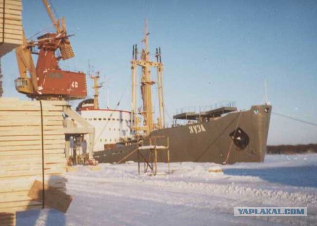 12 дембелей новая земля история. Смотреть фото 12 дембелей новая земля история. Смотреть картинку 12 дембелей новая земля история. Картинка про 12 дембелей новая земля история. Фото 12 дембелей новая земля история 12 дембелей новая земля история. Смотреть фото 12 дембелей новая земля история. Смотреть картинку 12 дембелей новая земля история. Картинка про 12 дембелей новая земля история. Фото 12 дембелей новая земля история