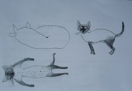 Девушка нарисовала котуху для котовторника