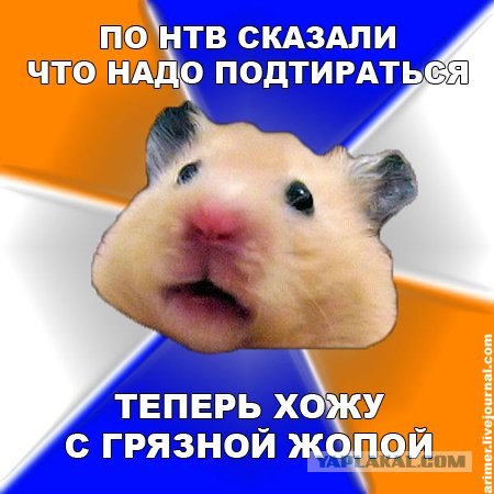 НТВ и передача "Анатомия Протеста"