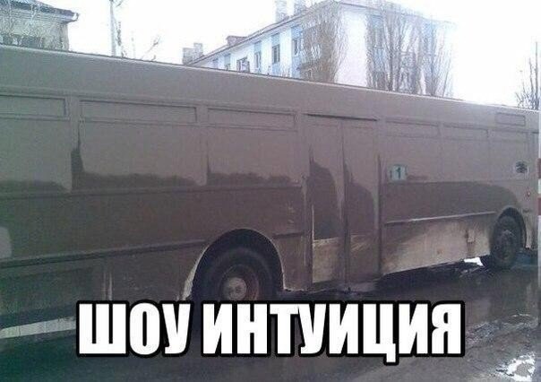 Прикольные картинки