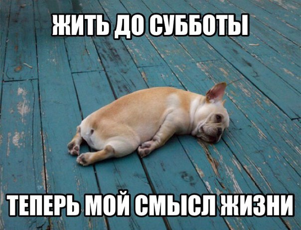 Картинки на утро вторника