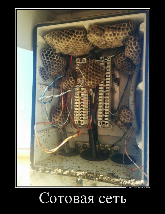 25 неожиданных фактов о нашей жизни