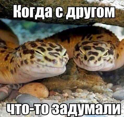 Подборка картинок 17.02.16