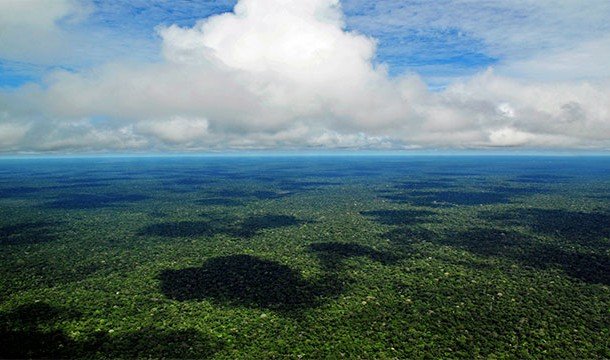 Уникальный "уголок" земли - Амазонка