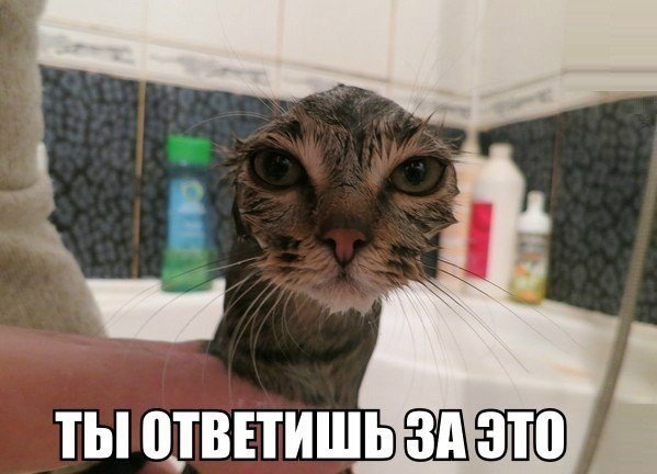 Мохнатые беспредельщики