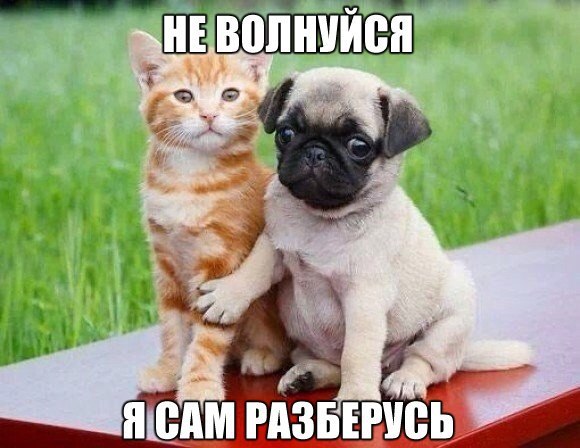 Мохнатые беспредельщики