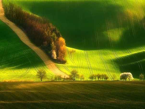 Разное картинки и т.д