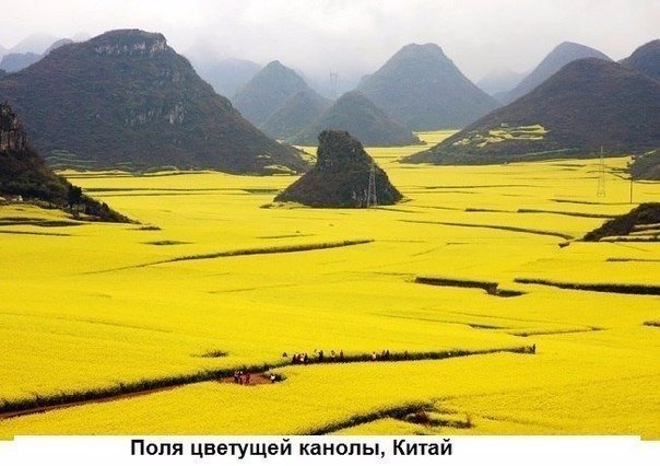 Картинки из этих ваших инторнетов